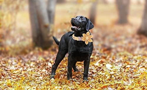 Lionet Paws Dog Collar with Flower, Soft and Comfortable, Adjustable Collar for X-Large Dogs Girl, Neck 16-26 inches