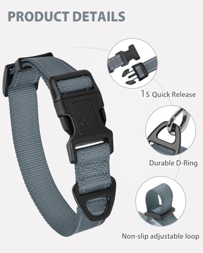 Joytale Feather-Light Dog Collar for Small Dogs & Puppies, 5/8", Gray