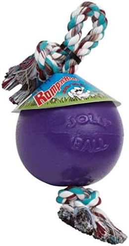 Jolly Pets Romp-N-Roll Rope & Ball Dog Toy, 8 in Large, Purple | Rope-and-ball fetch toy in tough JollyFlex - won't deflate if punctured, floats, made in USA