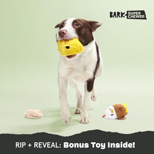 Barkbox Hatch Me If You Can Dog Toy for Medium to Large Aggressive Chewers Two-Layer Tearable Toy with Hidden Surprise Inside for Interactive Playtime | for to Aggressive Chewers Two-Layer Tearable Toy with Hidden Surprise Inside for Interactive Playtime