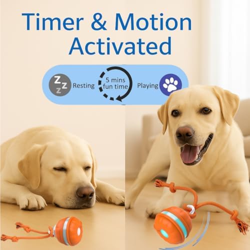 Interactive Dog - Motion Activated Rolling for Puppies & Small Dogs, USB Rechargeable Automatic Pet Ball, Smart Moving Toy for Boredom & Exercise, Durable Dog Chew Toy Orange