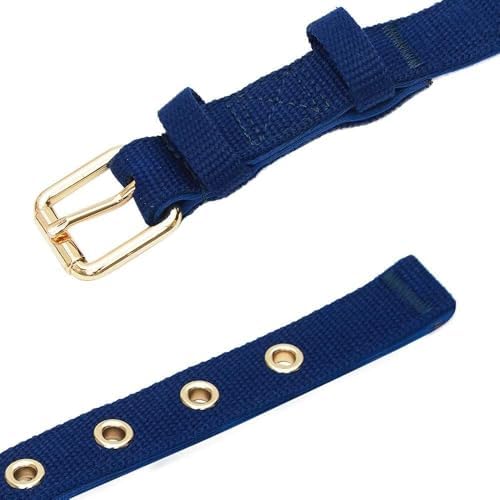 Blueberry Pet New Classic Modern Iconic Neoprene Padded Dog Collar Indigo Blue/Medium