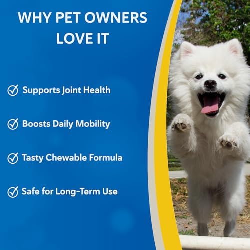 Doc Roy's Aches Away Mobility Support, Hip & Joint Soft Chews for Dog, 90ct