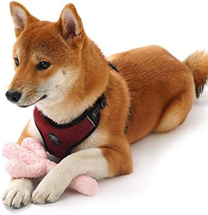 MewaJump Dog Chew Toys, Tough Rubber Dog Toys for Aggressive Chewers