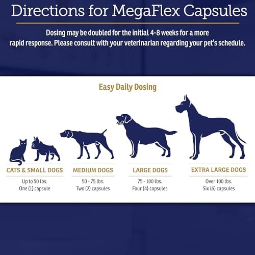 Rx Vitamins MegaFlex Cat & Dog Joint Supplement - 600ct