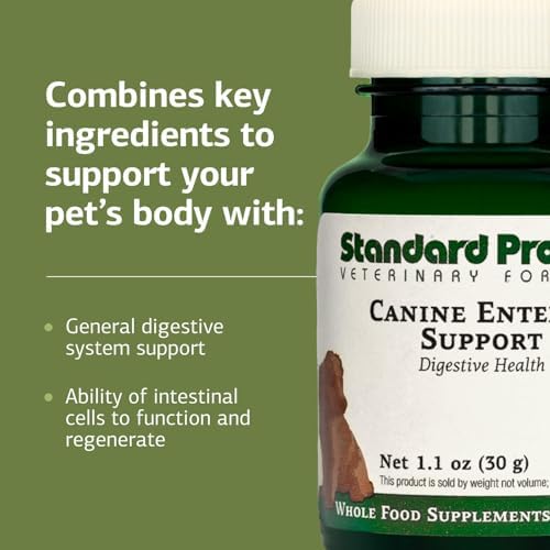 Standard Process Canine Enteric Support, 30 g
