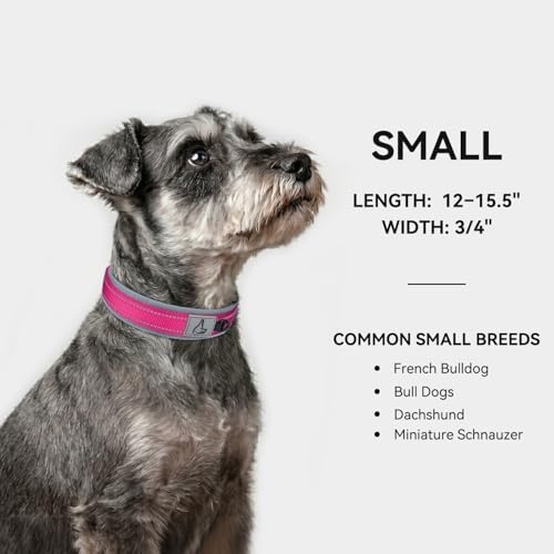 Joytale Reflective Dog Collar for Small Dogs with Wide Padding, Hotpink