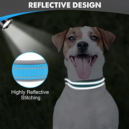 Joytale Reflective Dog Collar for Small Dogs with Wide Padding, Sky Blue