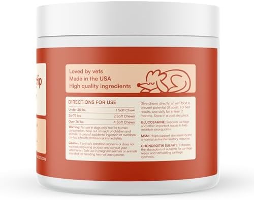 Reggie Hip & Joint Supplements for Dogs | Glucosamine, MSM & Chondroitin for Mobility, Cartilage & Pain Relief | Natural Dog Joint Support Chews | Vet-Approved & Made in USA | 60 Soft Chews