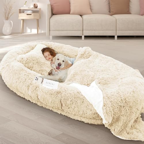 ROOMTEC Human Dog Bed, 71''x45''x12'' Size Fits Adult and Pet Washable Giant People Bed 10 CM Thick Memory Foam Large Oversize Pet Bed with Plump Pillow, Blanket, Strap - Beige