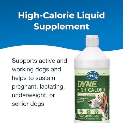 PetAg Dyne High Calorie Liquid Nutritional Supplement for Dogs & Puppies 8 Weeks and Older - 16 oz - Supports Performance and Endurance - Sweet Vanilla Flavor