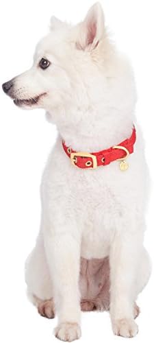 Blueberry Pet The Most Coveted Designer Mixed Metallic Thread Adjustable Dog Collar in Sparkling True Red with Metal Buckle, Neck 17-20.5", for Large Breed