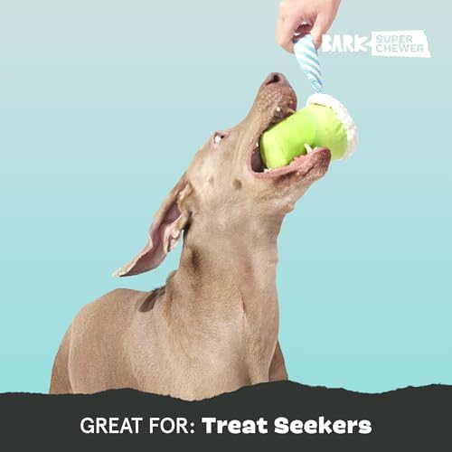 BarkBox Get Ripped Margrrrita Super Chewer Tough Dog Chew Toy - 2 Toys in 1 | for Aggressive Chewers, Plush Cover with Rubber Core - Two Layer Treat Dispensing Dog Toy for Large Dogs