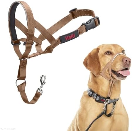 Halti Headcollar | Size 3, Desert Sand | Training Collar for Medium Dogs