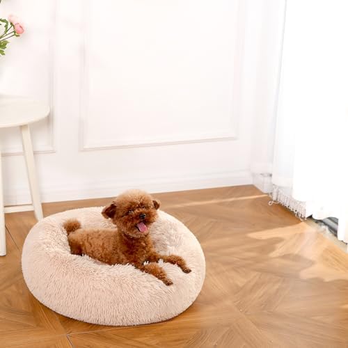 Amazon Basics Washable Donut Pet Bolster Faux Fur Bed with Removable Cover, Anti-Slip Bottom for Dog, Beige, 23" x 23"