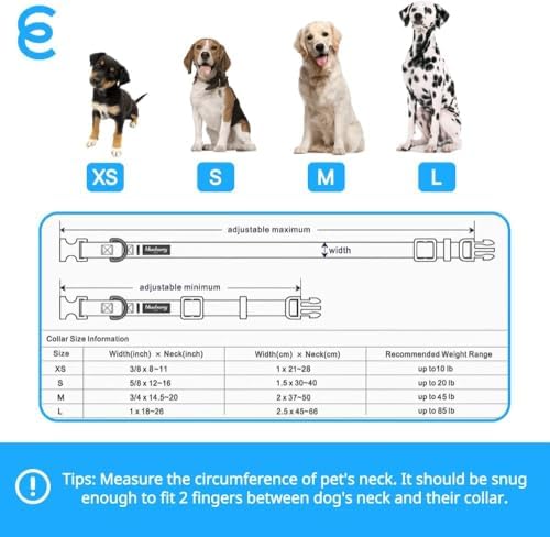 Blueberry Pet Essentials Large Dog Collar in Turquoise | Adjustable & Eco-Friendly Durable Nylon Strap | Classic Collar for Large Dogs, Boy & Girl Pets