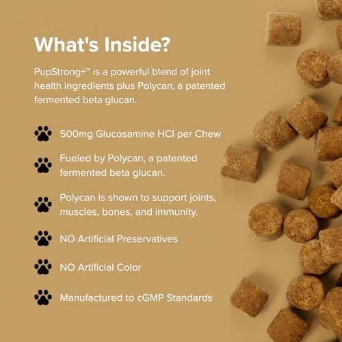 Pupstrong™+ Hip & Joint Support Soft Chews for Dogs – Powered by Polycan® Postbiotic – Supports Gut Health, Mobility, Joint Flexibility, Immune Health & Healthy Aging – 120 Chews