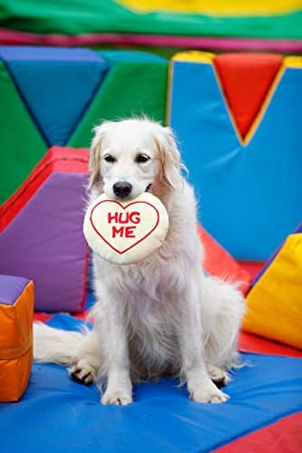 Petface Retro Hug Me Sweet Plush Dog Toy with Built-in Squeaker (Pack of 1) | Durable, Lightweight Design, for Fetch & Cuddling, Interactive Play