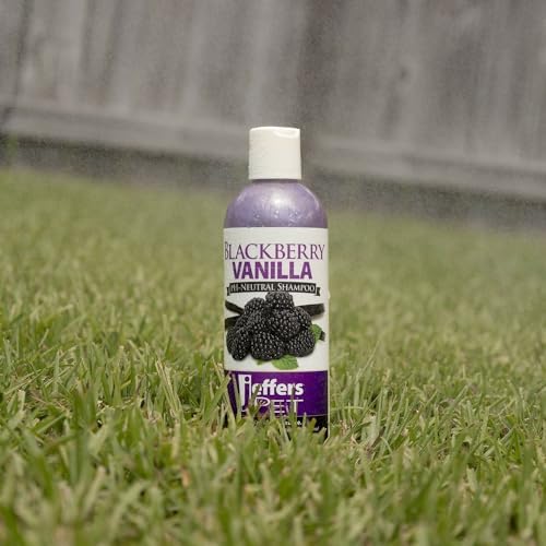 Jeffers Pet BlackBerry Vanilla Shampoo for Dogs & Cats, 17 oz – Coconut Based Soap Free Grooming Shampoo, pH Balanced Pet Wash, BlackBerry Tinted Vanilla Scent, Gentle Cleanser for Puppies & Kittens