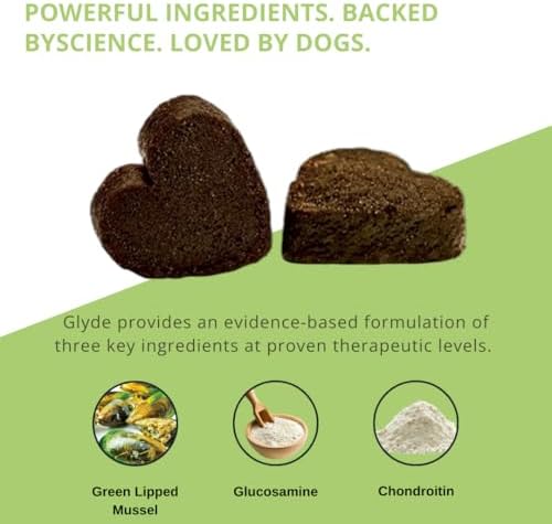 Glyde Hip & Joint Supplement for Senior Dogs, Mobility Support, 60 Chews