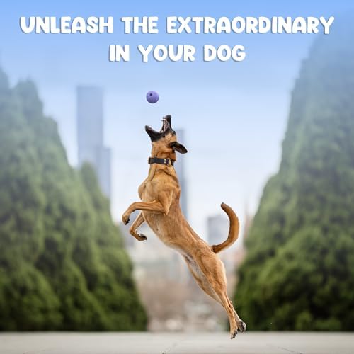 Foam Fetch Ball for Dogs – Durable EVA Foam Dog Ball, Interactive Chew Toy for Dogs, Lightweight Floating Ball for Water, Pool & Outdoor Fetch Games (Purple, Large)