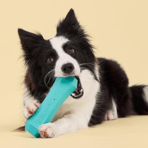 Playology Squeaky Chew Stick - Scented Dog Toy - Jumbo, Peanut Butter Scent | Rubber Construction, All Natural Scent, Durable Design