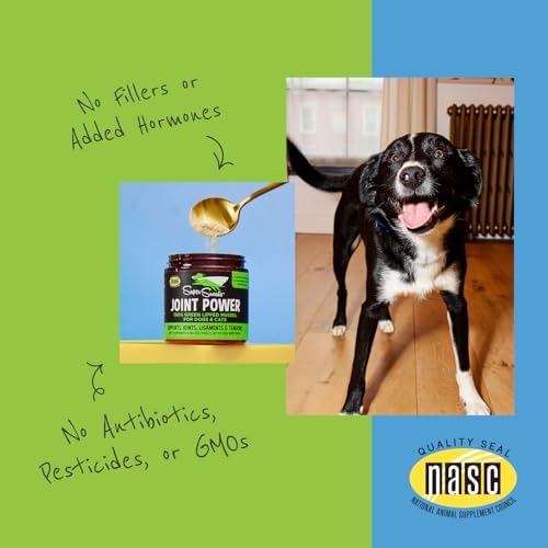Super Snouts Joint Power Supplement Powder for Dogs & Cats, 2.64 oz Jar