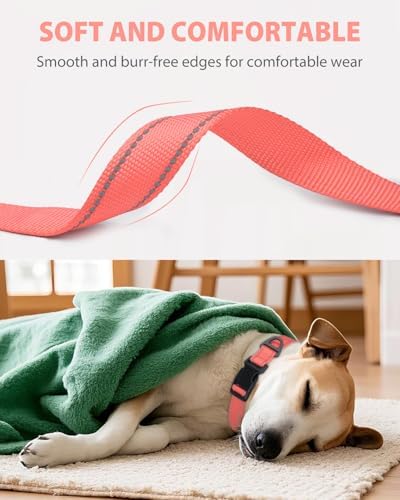 Joytale Feather-Light Dog Collar for Extra Large Dogs, 1 1/4", Neon Pink