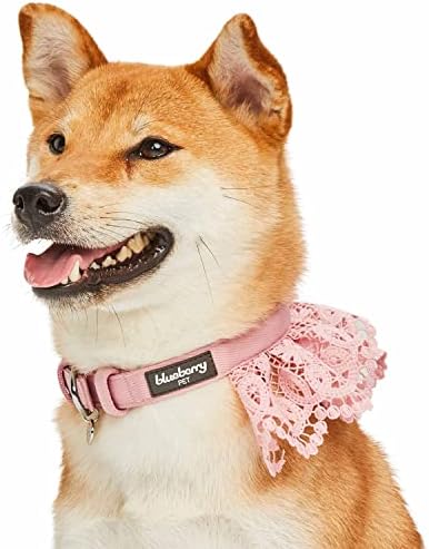 Blueberry Pet Floral Lace Adjustable Dog Collar in Baby Pink with Metal Buckle, Neck 13-16.5", for Medium Breed