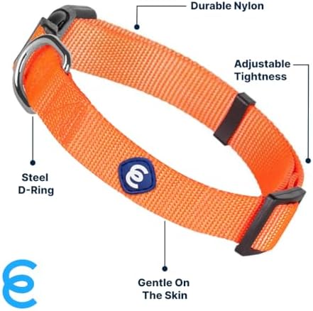 Blueberry Pet Essentials Florence Orange Adjustable Nylon Dog Collar for Small Dogs, Classic Solid Color Pet Safety & Style for Small Dogs