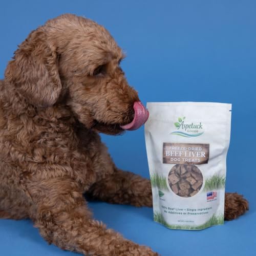 Freeze-Dried Liver Dog Treats | Single Ingredient | Made in USA (Lamb)