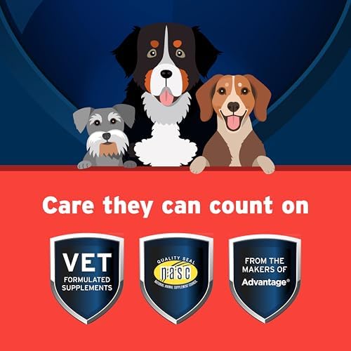 Pet Protect Hip & Joint Supplement for Dogs, Chicken Flavor 240ct
