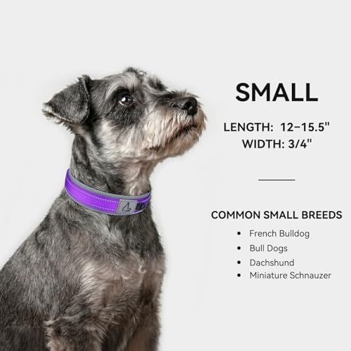 Joytale Reflective Dog Collar for Small Dogs with Wide Padding, Purple