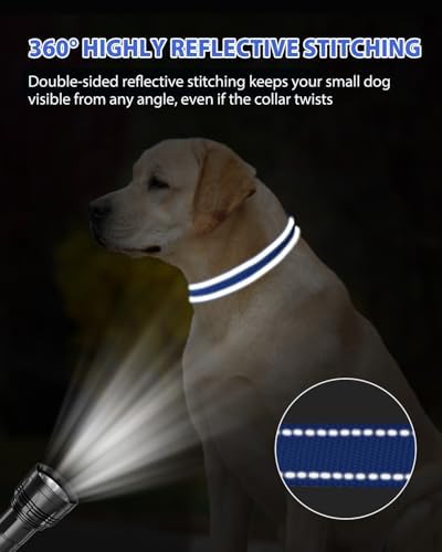 Joytale Feather-Light Dog Collar for Medium & Large Dogs, 1", Navy Blue