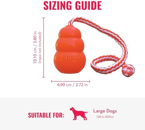 KONG Aqua Floating Fetch Toy, Natural Rubber, Orange, for Large Dogs | Floating KONG Natural Rubber Water Toy with Foam Interior & Rope for Farther Throwing & Easy Retrieval Play
