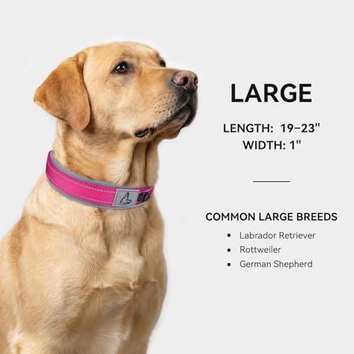 Joytale Reflective Dog Collar for Large Dogs with Wide Padding, Hotpink