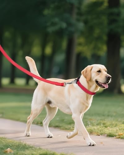 Joytale Feather-Light Dog Collar for Medium & Large Dogs, 1", Red