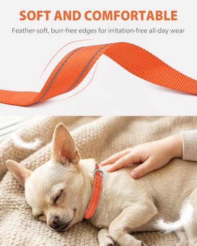 Joytale Feather-Light Puppy Collar for Extra Small Dogs, 3/8", Orange