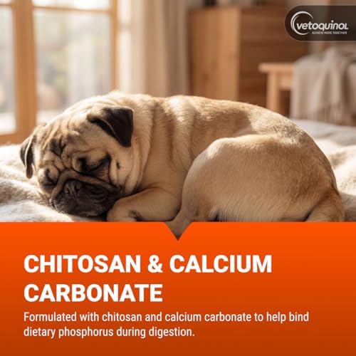 Vetoquinol Epakitin Chitosin-Based Phosphate Binder for Cats & Dogs – Renal Support Supplement Powder - 300g