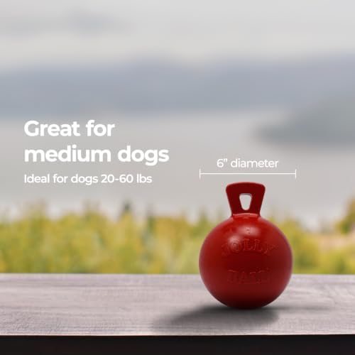 Jolly Pets Dog 6-Inch Tug-n-Toss, Red (406 RD),6 Inches/Medium