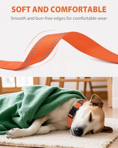 Joytale Feather-Light Dog Collar for Medium & Large Dogs, 1", Orange