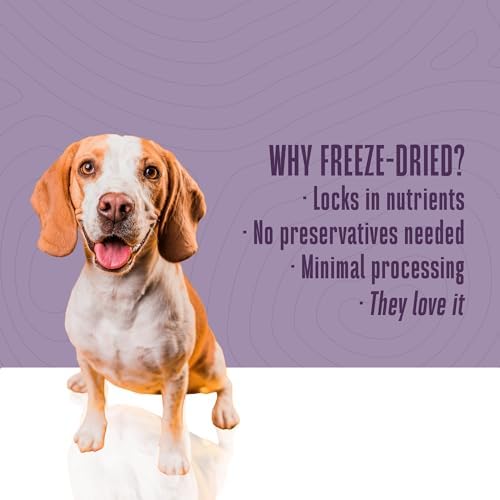 Whole Life Just One Turkey Freeze-Dried Dog Treats - 2.5 oz