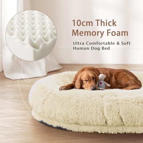 ROOMTEC Human Dog Bed, 71''x45''x12'' Size Fits Adult and Pet Washable Giant People Bed 10 CM Thick Memory Foam Large Oversize Pet Bed with Plump Pillow, Blanket, Strap - Beige