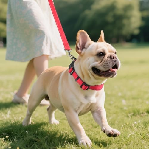 Joytale Reflective Dog Collar, Adjustable Neoprene Padded, Red S