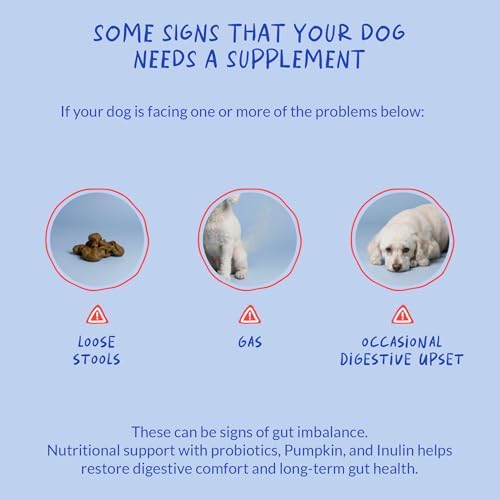 Probiotics for Dogs 90 Soft Chews - Digestive, Gut & Diarrhea