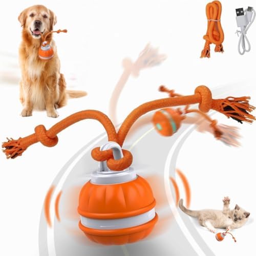 Interactive Dog - Motion Activated Rolling for Puppies & Small Dogs, USB Rechargeable Automatic Pet Ball, Smart Moving Toy for Boredom & Exercise, Durable Dog Chew Toy Orange