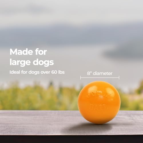 Jolly Pets Bounce-n-Play Dog Toy Ball, 8 Inches/Large, Orange, (Model: 2508 OR) | Durable large dog ball for dogs over 60 lbs, made from tough JollyFlex material that won't deflate when punctured and floats