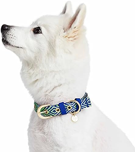 Blueberry Pet Southwestern Tribal Lozenges Stylish Green Adjustable Dog Collar with Metal Buckle, Neck 17-20.5", for Large Breed