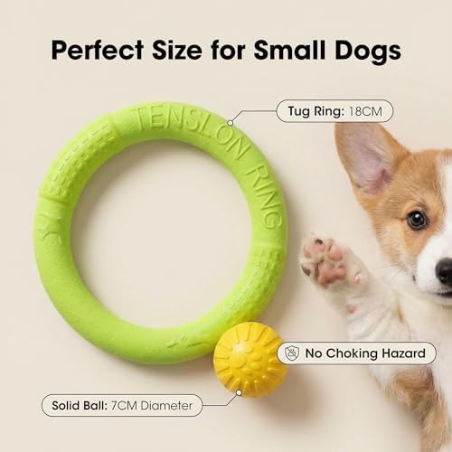 Small Dog Ball with Strap, Floating EVA, Green