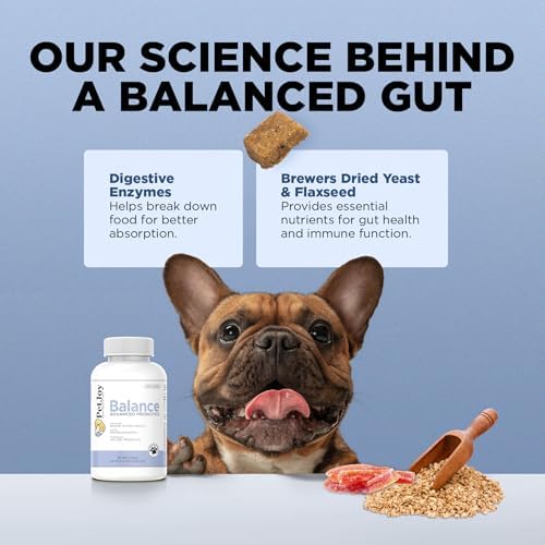 PetJoy Dog Probiotic Chews for Digestive Health - Puppy Diarrhea Probiotics for Dog Gas Relief and Gut Health - Digestive Enzymes for Dogs Diarrhea (60 Probiotics for Dogs Fiber Supplements)